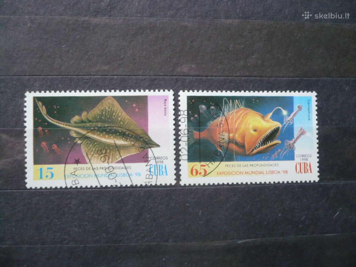 1998 m. Giliavandenės žuvys