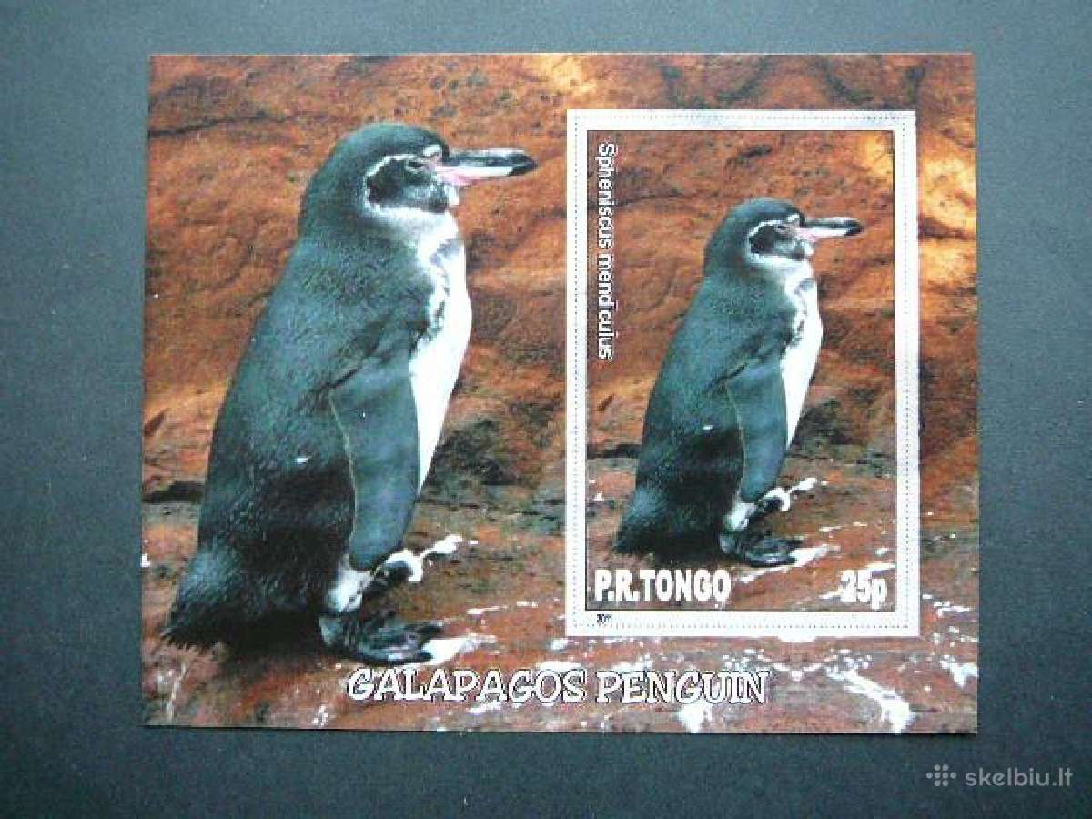 Pingvinai Pauksciai Tonga 2011 Mnh tn026