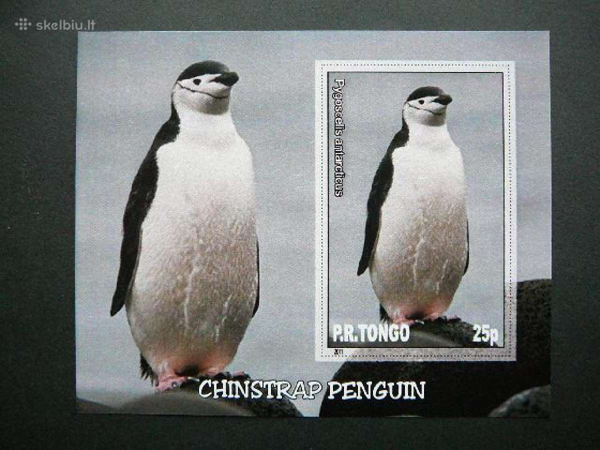 Pingvinai Pauksciai Tonga 2011 Mnh tn027