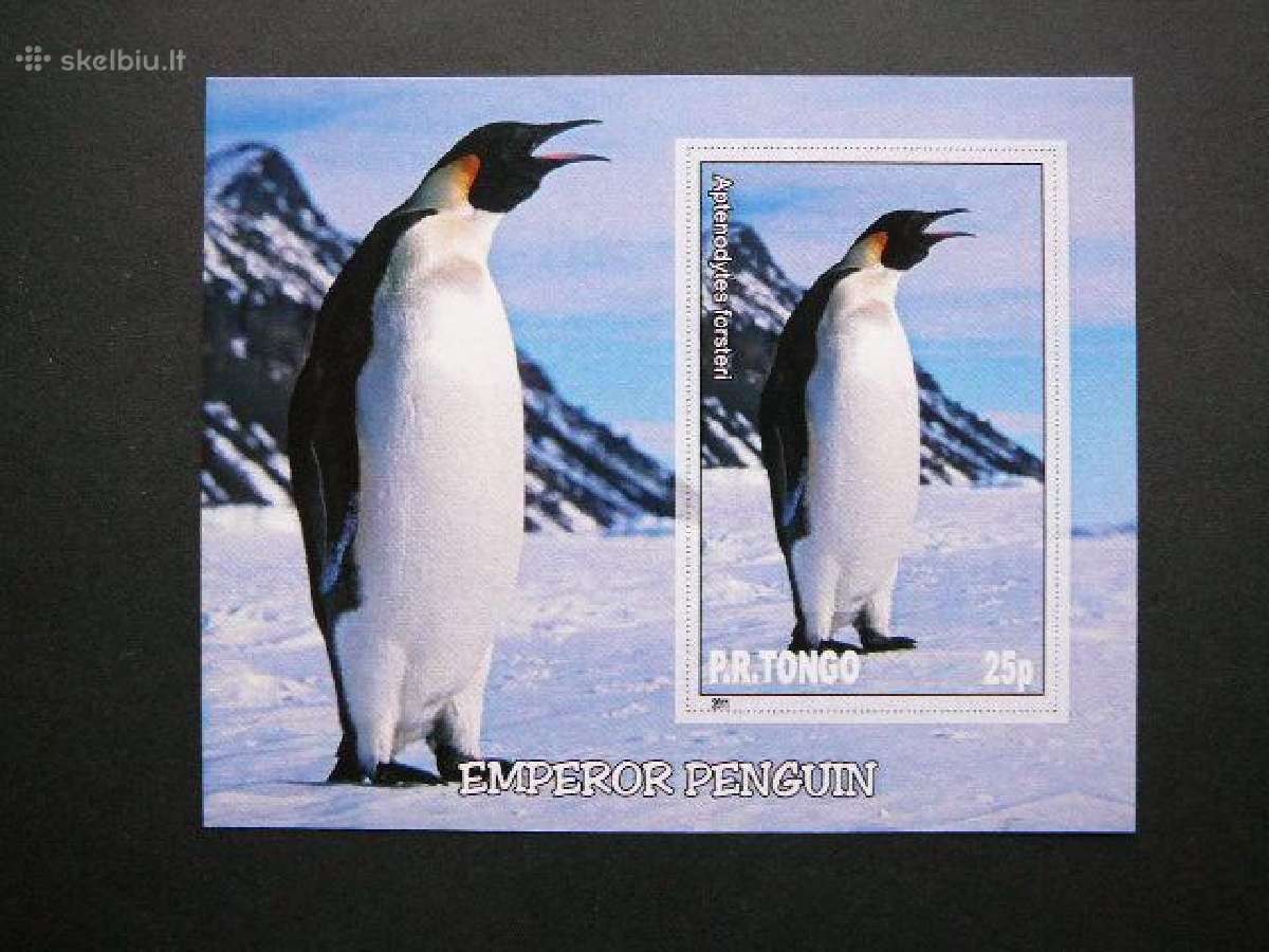 Pingvinai Pauksciai Tonga 2011 Mnh tn028