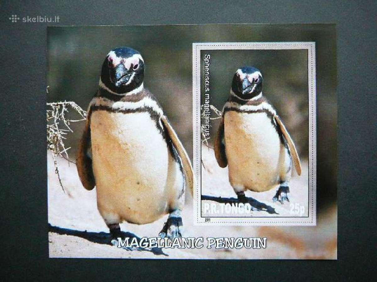 Pingvinai Pauksciai Tonga 2011 Mnh tn030
