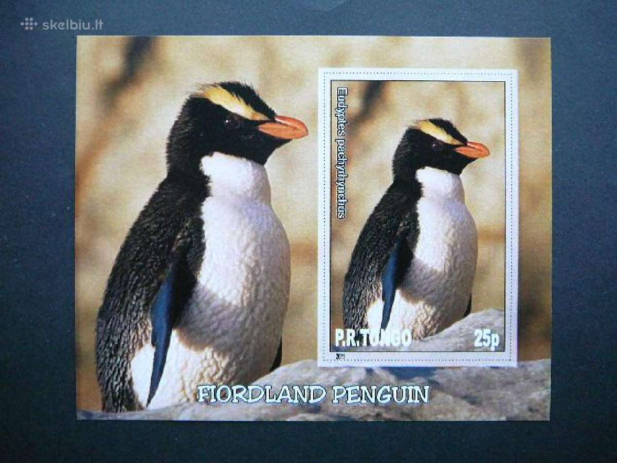 Pingvinai Pauksciai Tonga 2011 Mnh tn031
