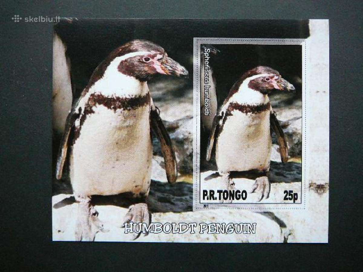Pingvinai Pauksciai Tonga 2011 Mnh tn032