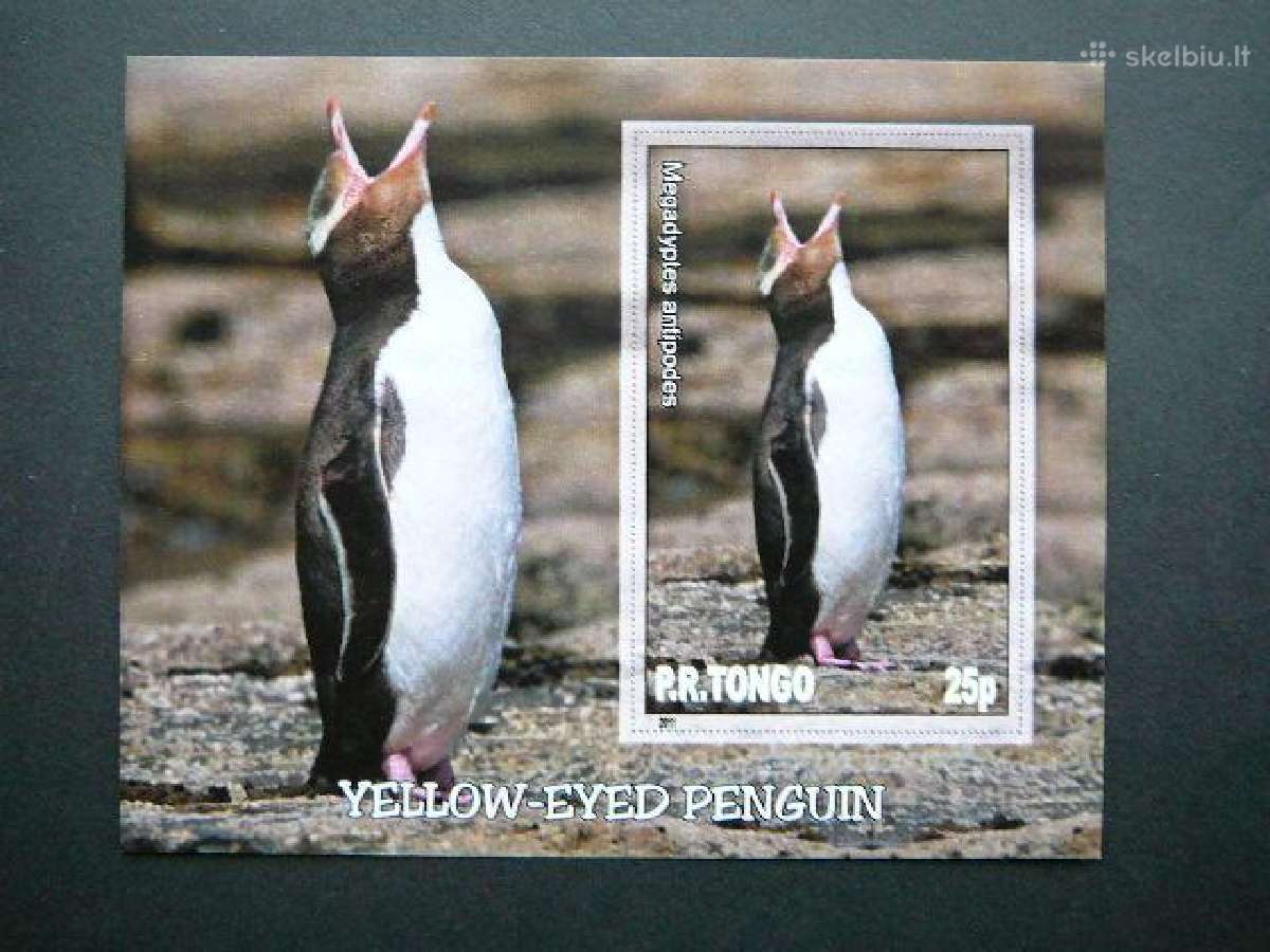 Pingvinai Pauksciai Tonga 2011 Mnh tn033
