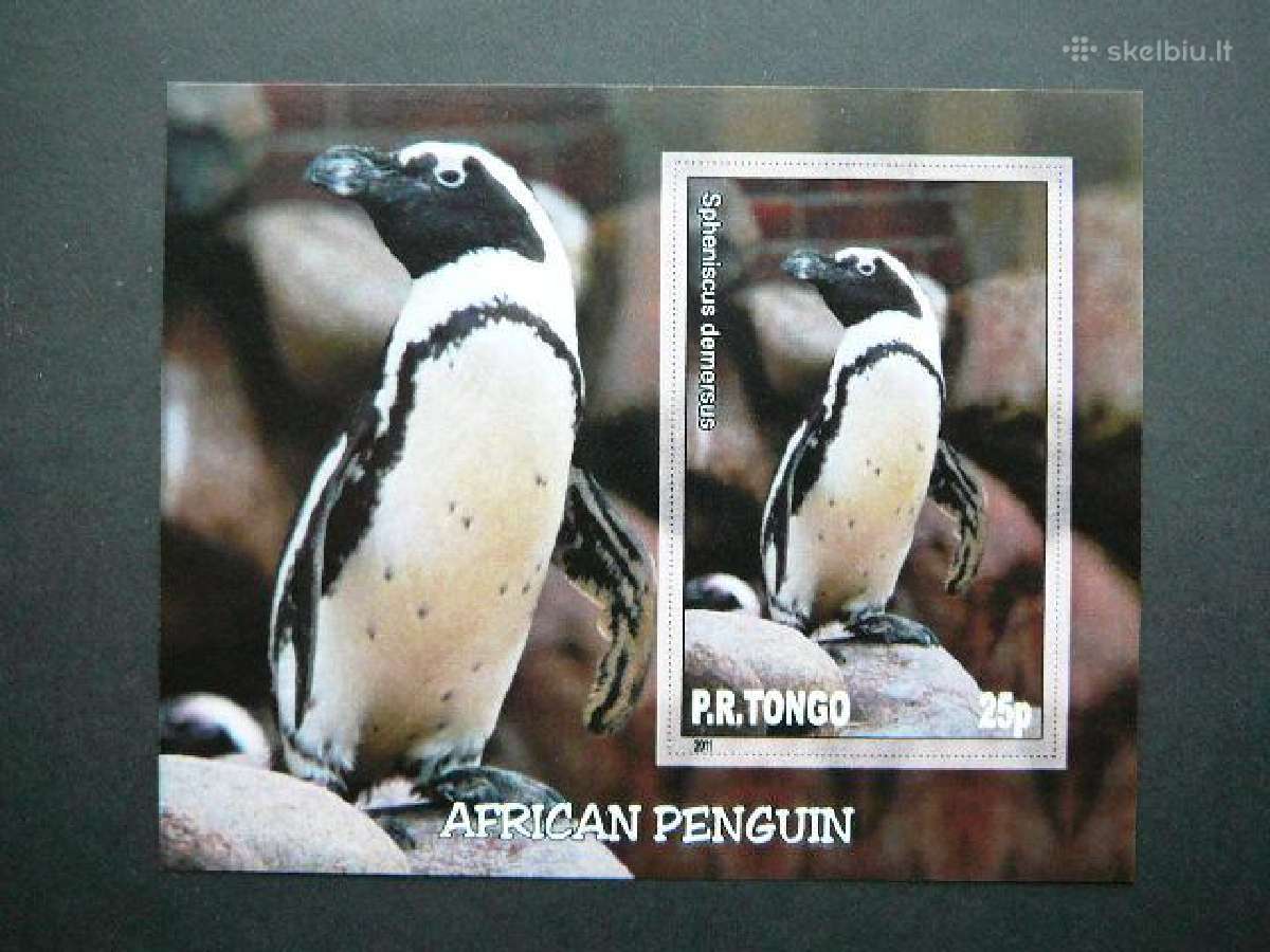 Pingvinai Pauksciai Tonga 2011 Mnh tn034