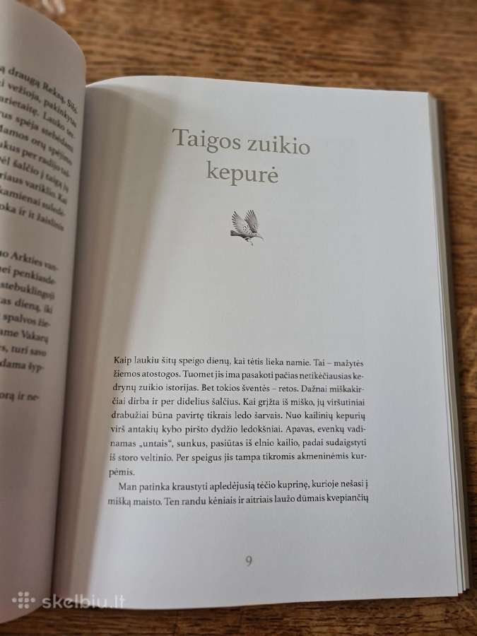 Kedrynų mergaitės istorijos (Elvyra Žeižienė) - nuotraukos Nr. 6