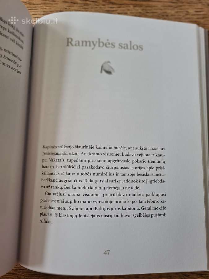 Kedrynų mergaitės istorijos (Elvyra Žeižienė) - nuotraukos Nr. 17