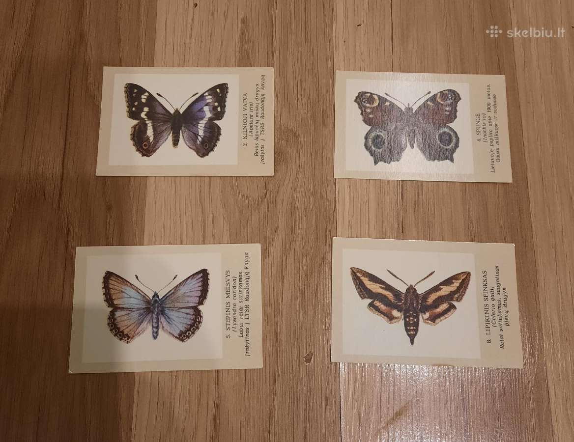 Lietuviški kalendoriukai Drugeliai Nr.2 (4vnt.)