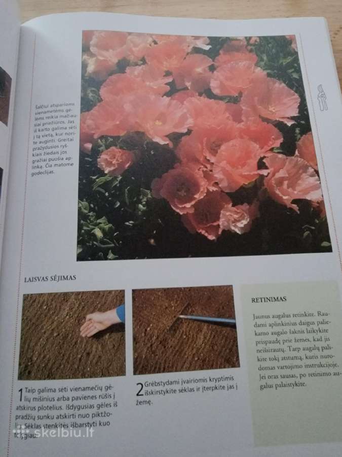 Knyga "Sodininko enciklopedija" - nuotraukos Nr. 4