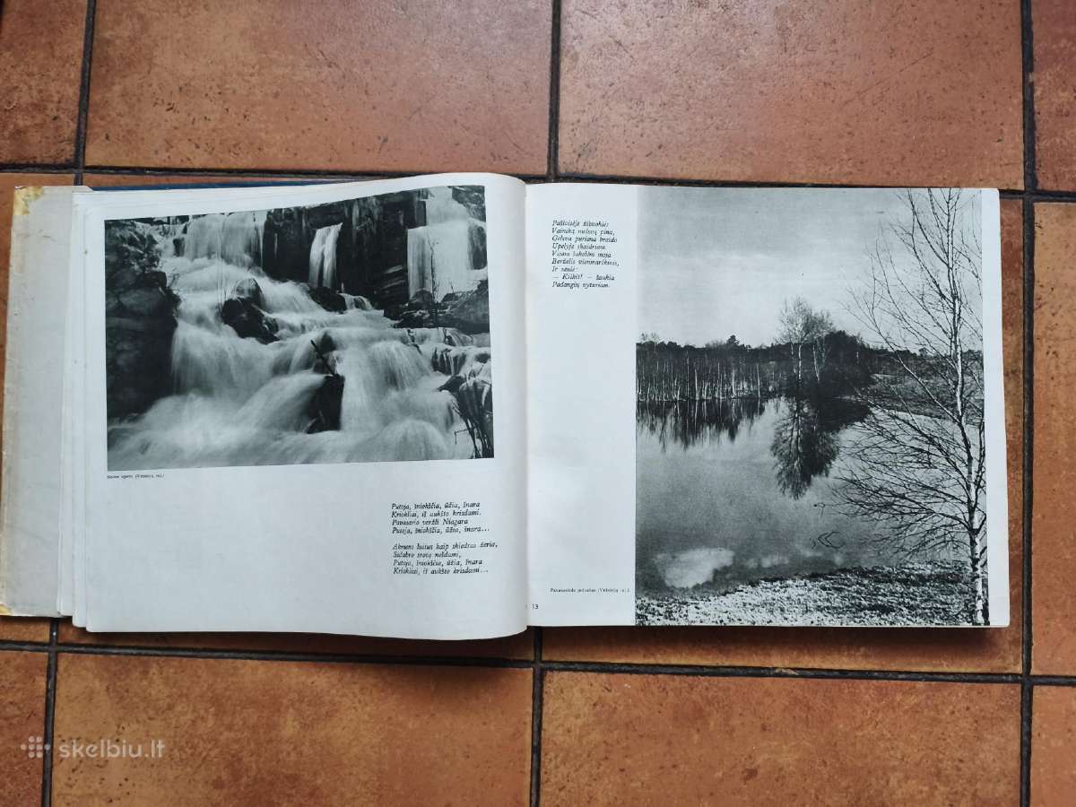 Įspūdingas Dzukijos albumas 1958 m. - nuotraukos Nr. 7