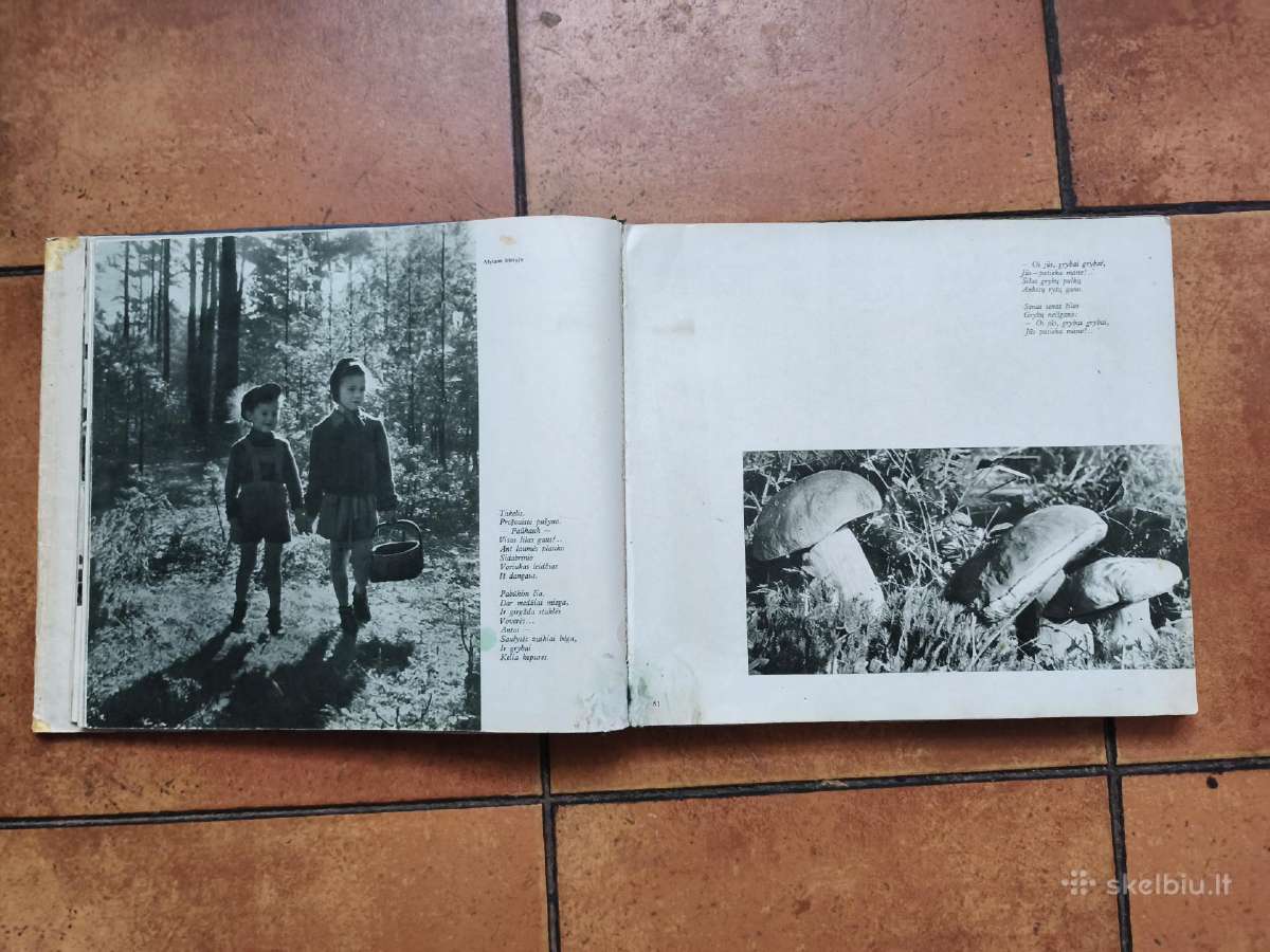 Įspūdingas Dzukijos albumas 1958 m. - nuotraukos Nr. 11