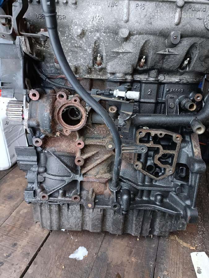 Volkswagen Passat variklio