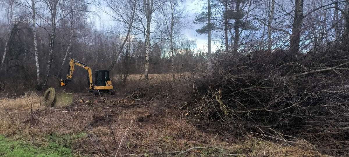 Šakų smulkinimas, sklypų, pamiškių,griovių valymas - nuotraukos Nr. 2
