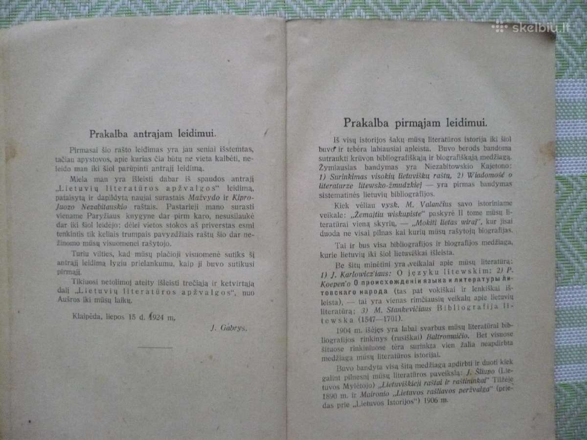 J. Gabrys - Lietuvių literatūros apžvalga 1924 - nuotraukos Nr. 5