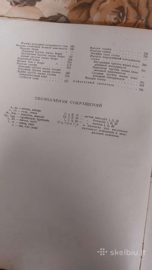 Anatomija - nuotraukos Nr. 5