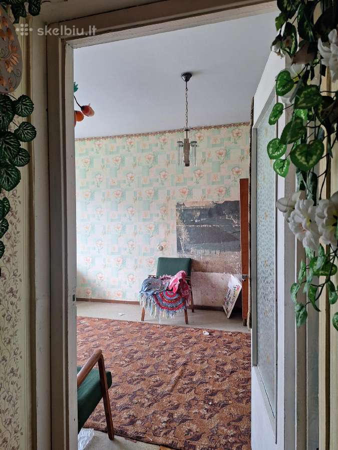 1 kamb. butas prie ežerų, Didžiasalis, Ignalinos r - nuotraukos Nr. 9
