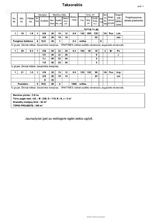 Parduodami miškai Rokiškio raj - nuotraukos Nr. 2
