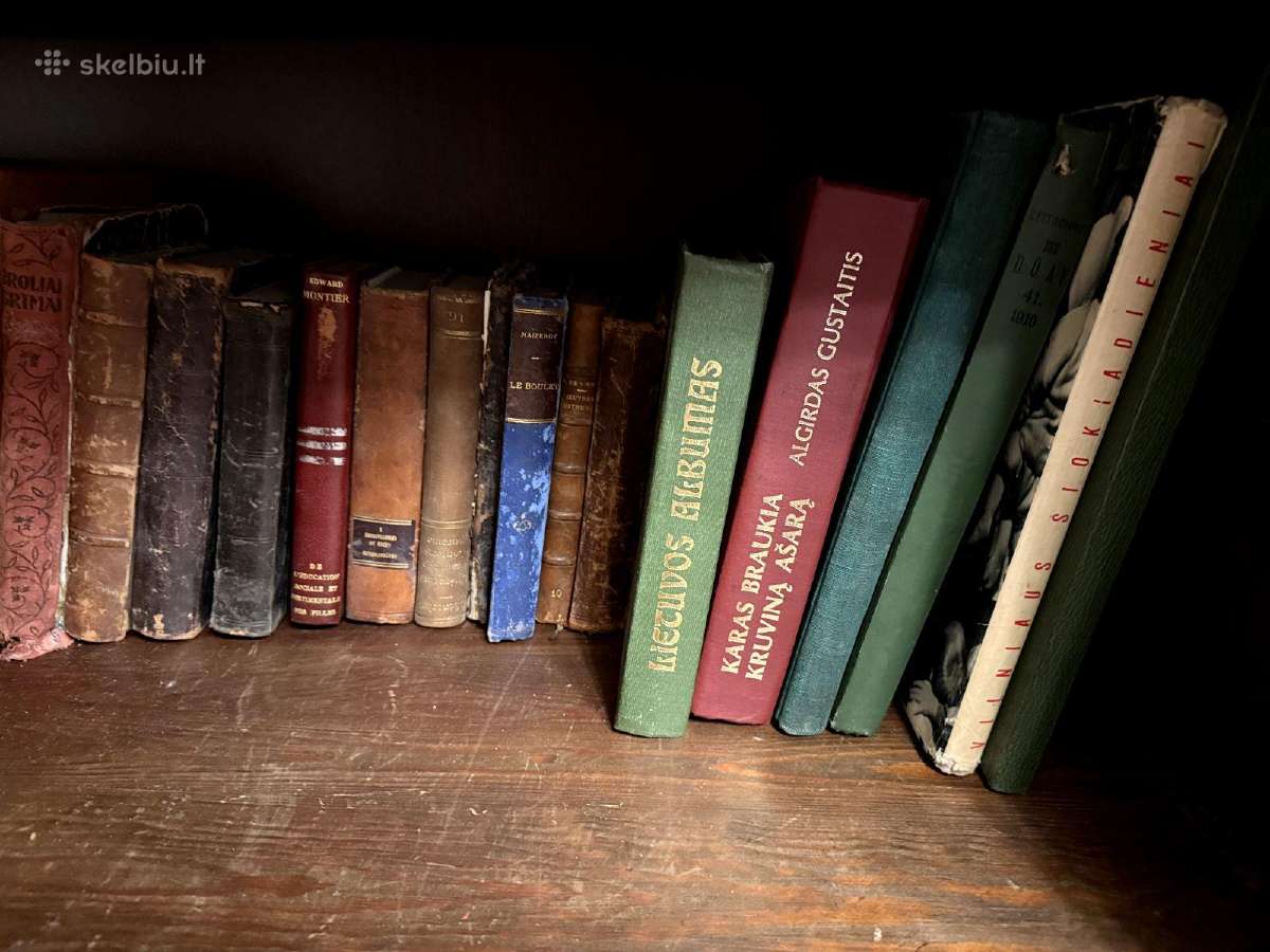 Knygos - biblioteka - enciklopedijos - zodynai - nuotraukos Nr. 13