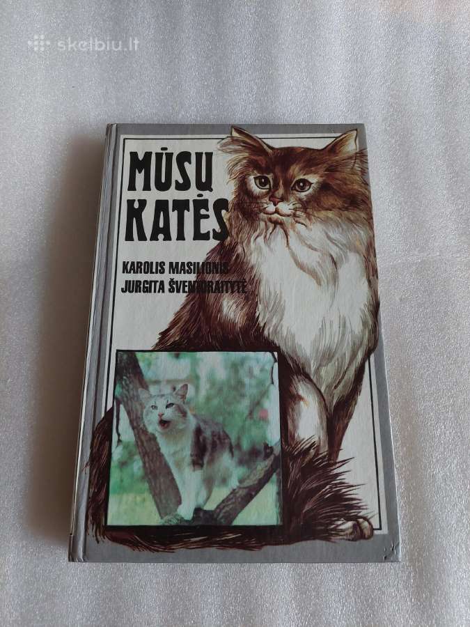 Mūsų katės
