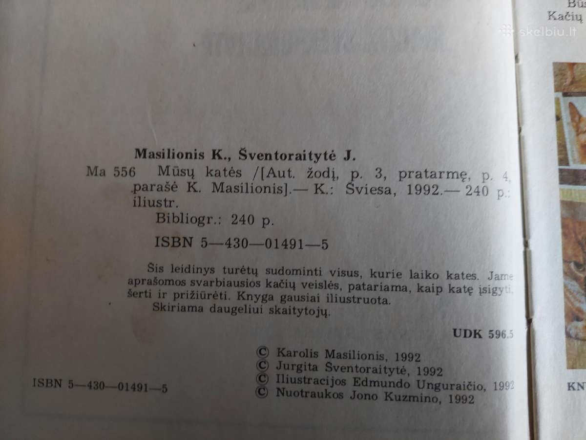 Mūsų katės - nuotraukos Nr. 3