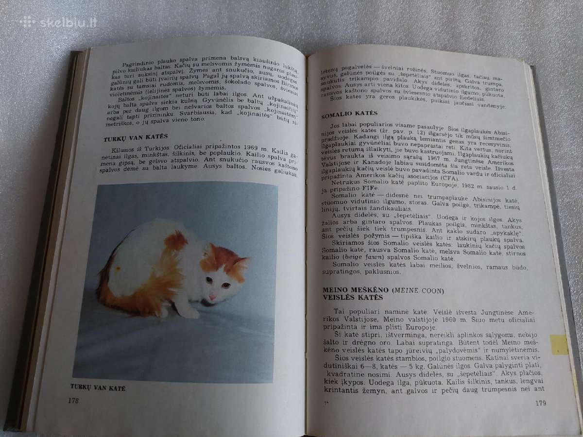 Mūsų katės - nuotraukos Nr. 6