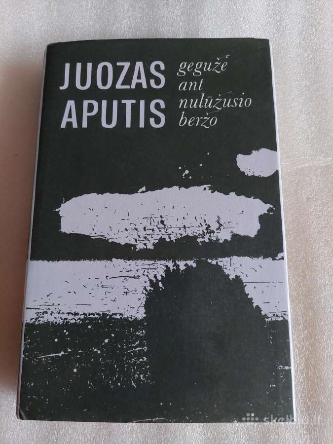 Gegužė ant nulūžusio beržo