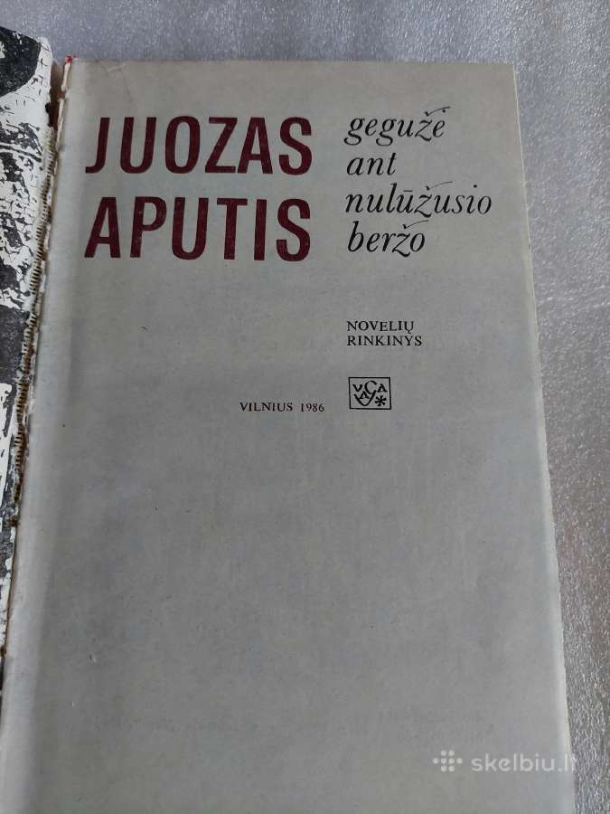 Gegužė ant nulūžusio beržo - nuotraukos Nr. 2