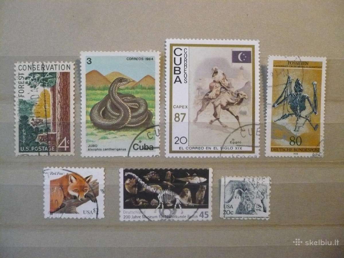 Tema - Gyvūnija 243 vnt. Pasirinkimas - nuotraukos Nr. 5