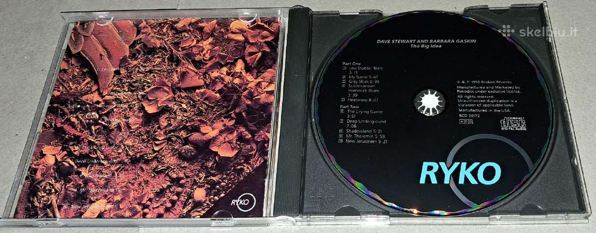 Dave Stewart & Barbara Gaskin – The Big Idea (Cda) - nuotraukos Nr. 3