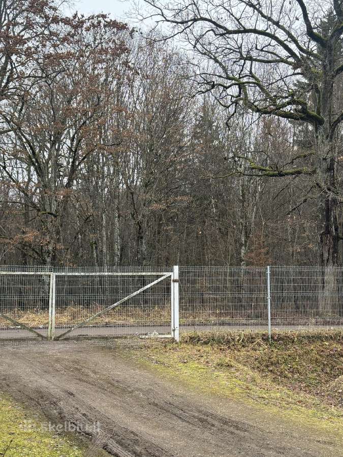 Nuomuojamos didelės patalpos - nuotraukos Nr. 3