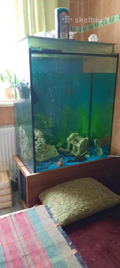 Akvariumas 333ltr.