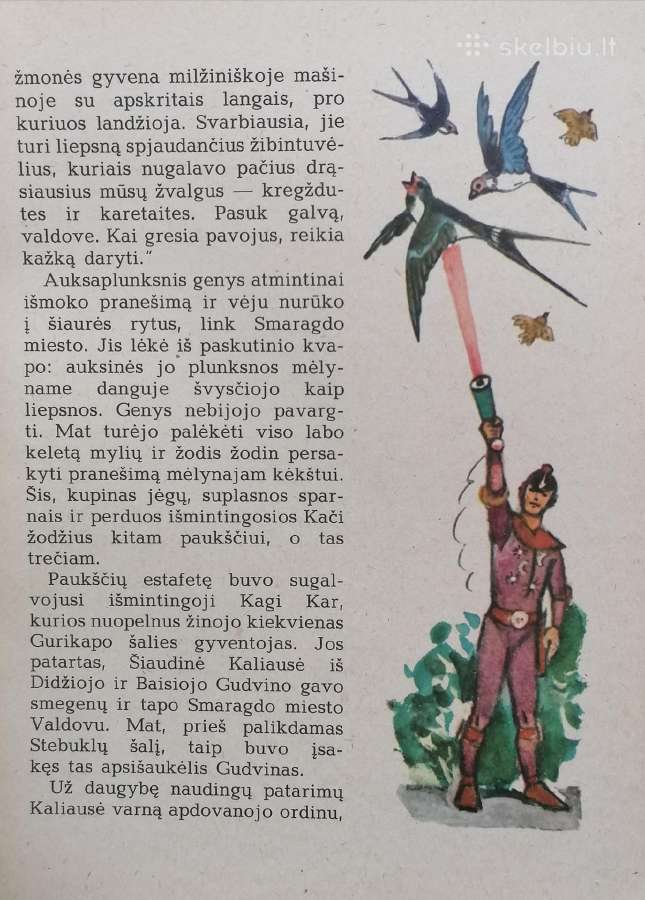 A.volkovas ''Apleistos pilies paslaptis'' - nuotraukos Nr. 3
