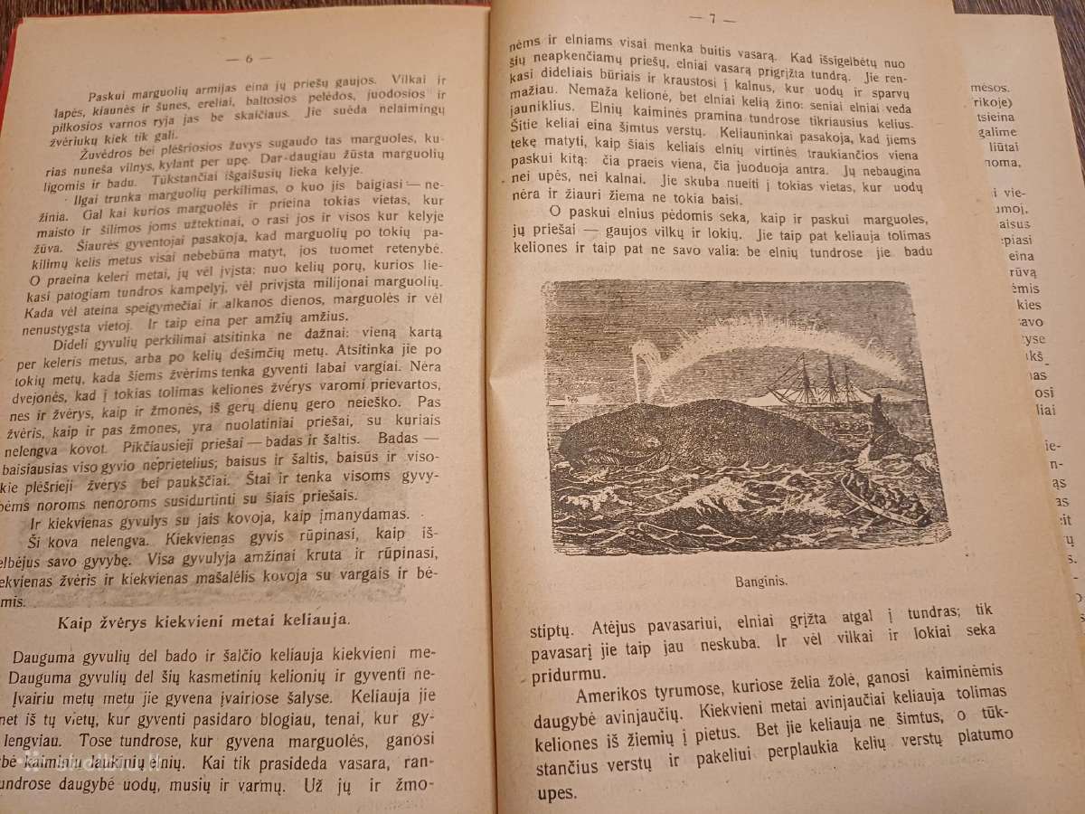 Parduodu knyga,1922m - nuotraukos Nr. 3