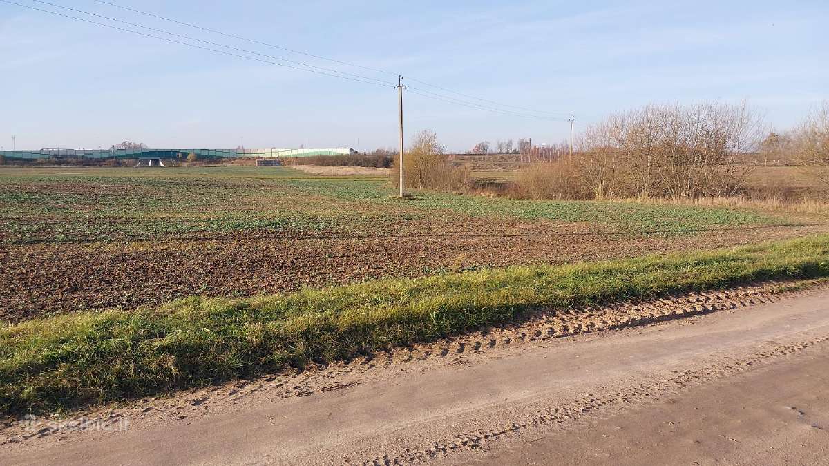 Parduodami du sklypai Kauno rajone Jurginiškių k. - nuotraukos Nr. 6