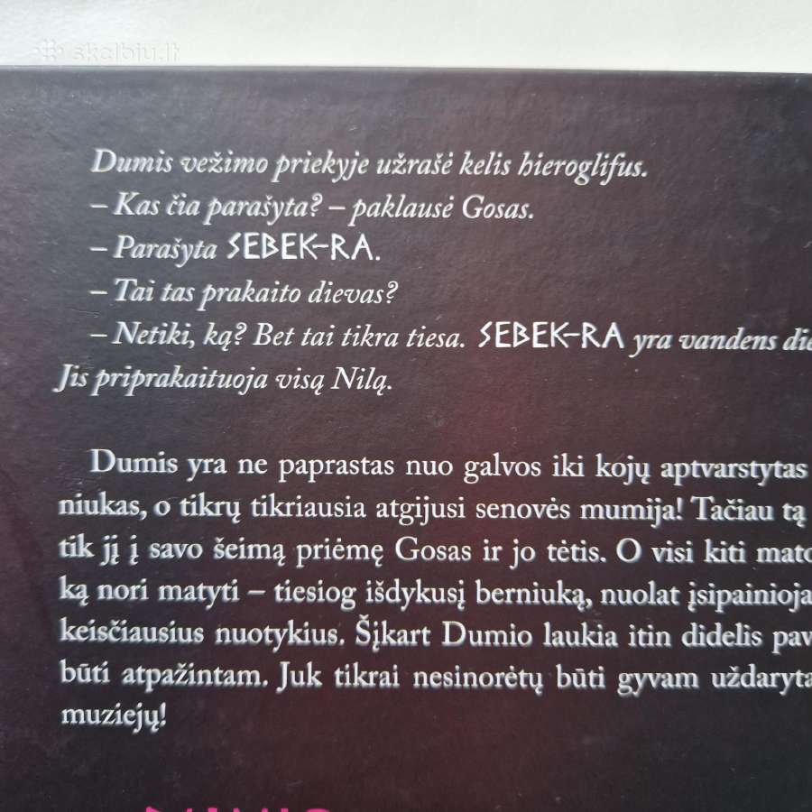 Mumija Dumis 1-3 dalys. Naujų knygų komplektas - nuotraukos Nr. 8