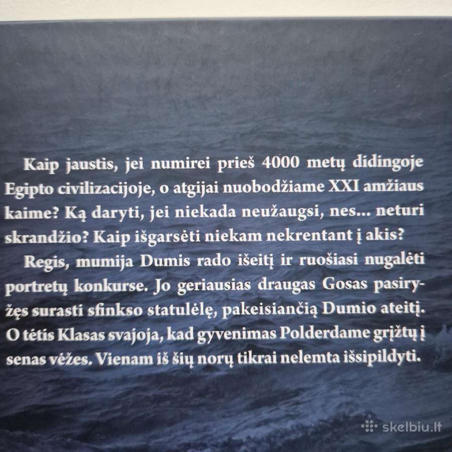 Mumija Dumis 1-3 dalys. Naujų knygų komplektas - nuotraukos Nr. 9