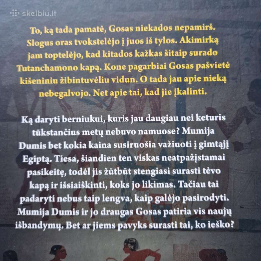 Mumija Dumis 1-3 dalys. Naujų knygų komplektas - nuotraukos Nr. 10