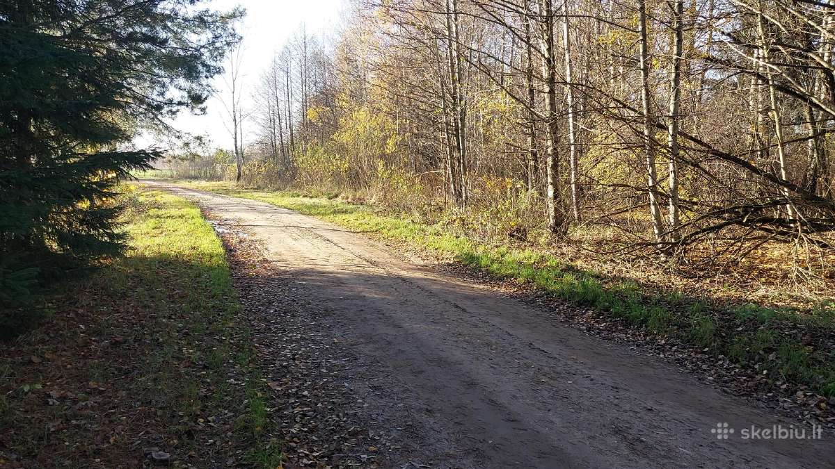 Parduodami du sklypai Kauno rajone Jurginiškių k. - nuotraukos Nr. 11