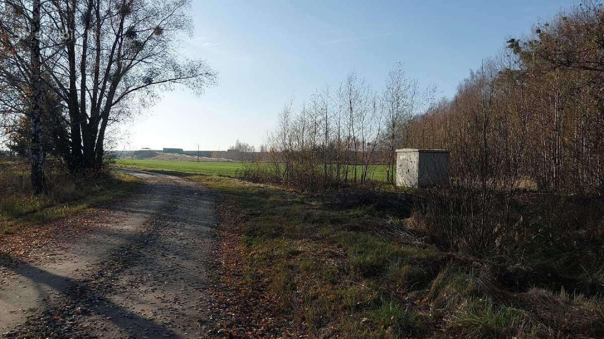 Parduodami du sklypai Kauno rajone Jurginiškių k. - nuotraukos Nr. 12