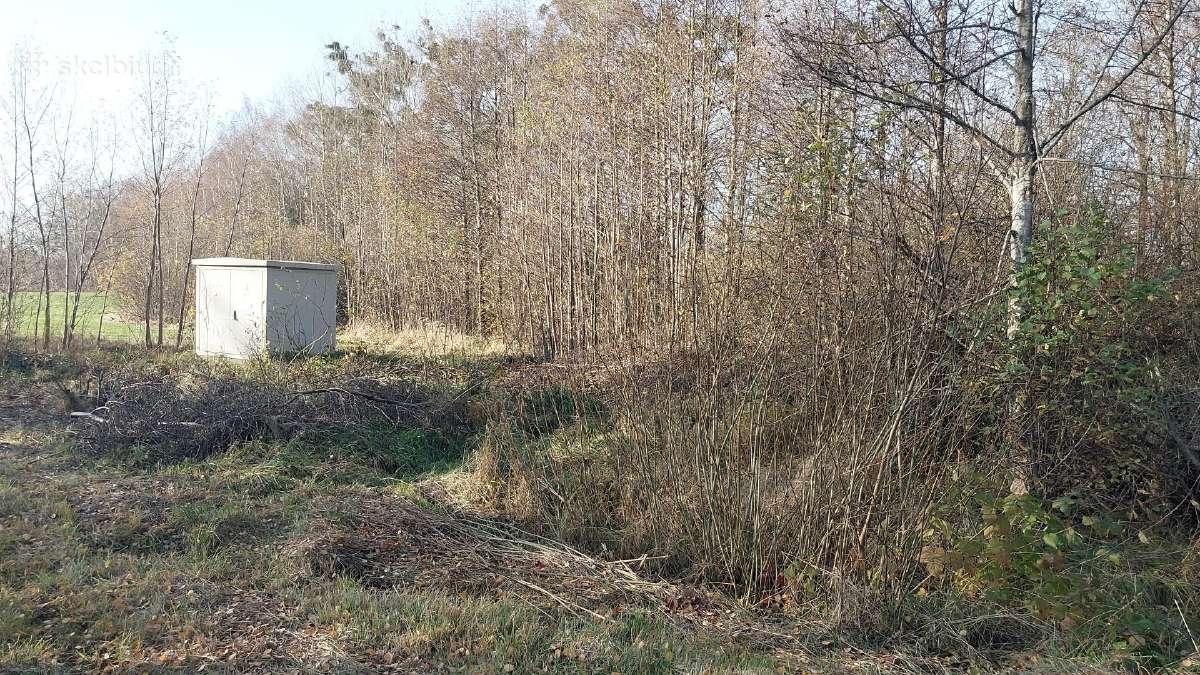 Parduodami du sklypai Kauno rajone Jurginiškių k. - nuotraukos Nr. 13