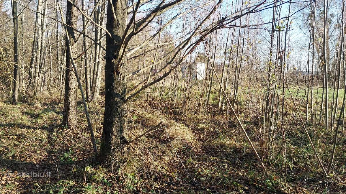 Parduodami du sklypai Kauno rajone Jurginiškių k. - nuotraukos Nr. 16