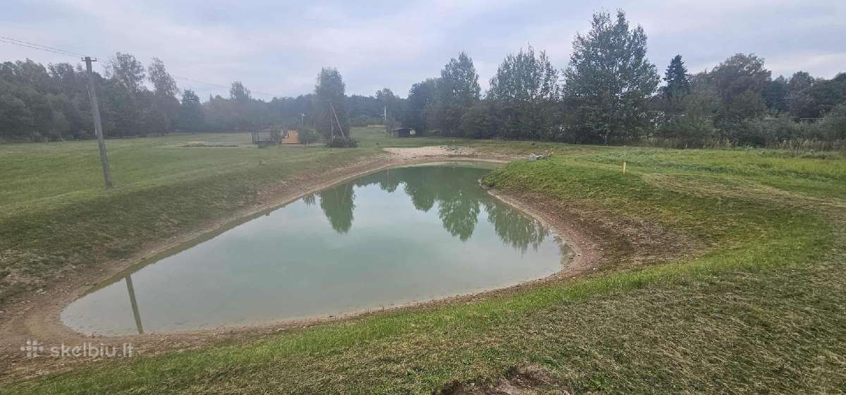 Tvenkiniu kasimas ilgastreliu plačiavikšriu 17m st - nuotraukos Nr. 3