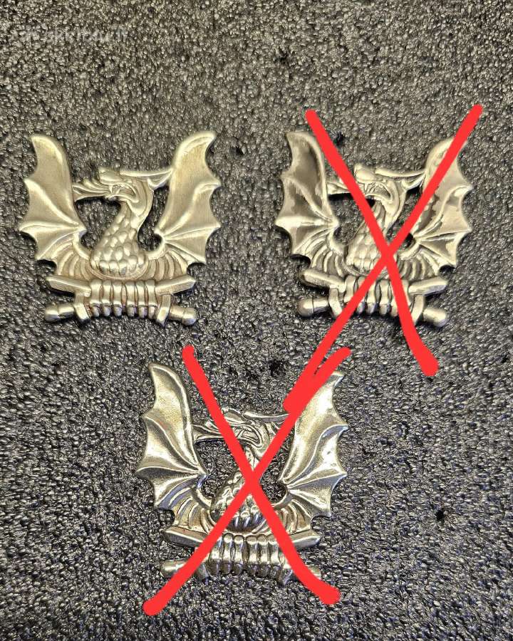 Dragūnų bataliono kokardos.