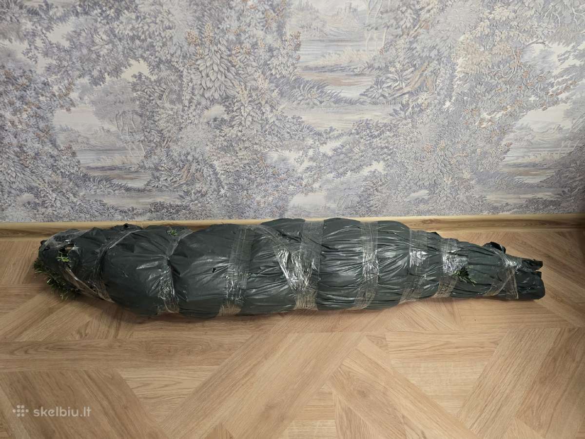 Eglutė 220 margaspalvė - nuotraukos Nr. 5
