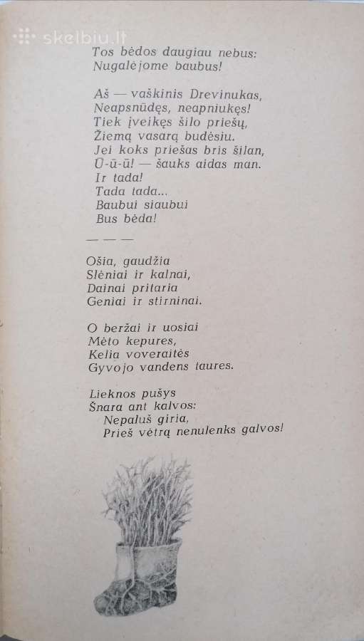 A. Matutis "Trijų brolių svirnelis" - nuotraukos Nr. 5