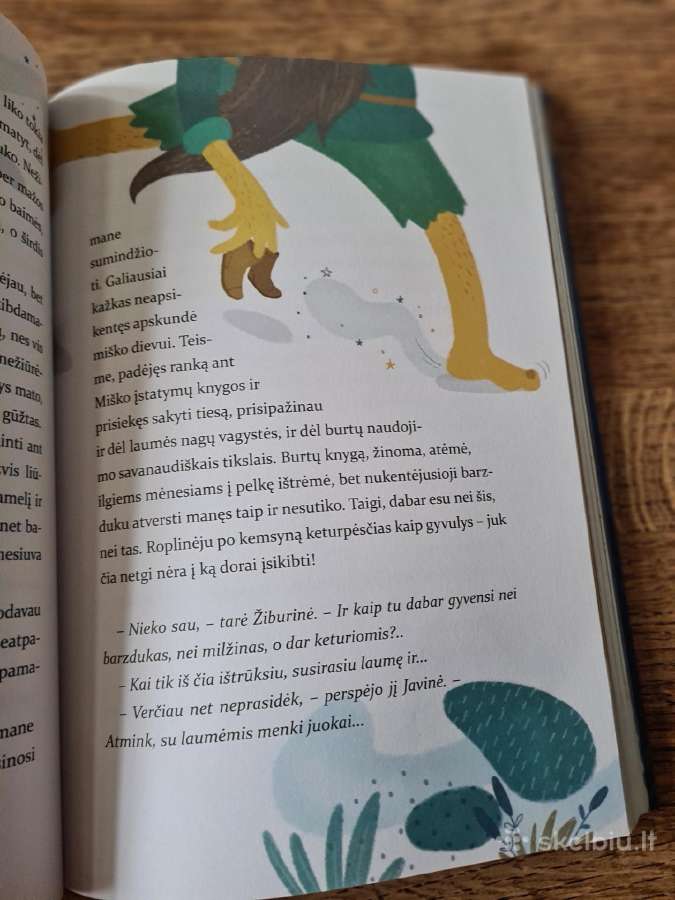 Kemsyno paslaptys (Jurgita Pelėdaitė) - nuotraukos Nr. 10