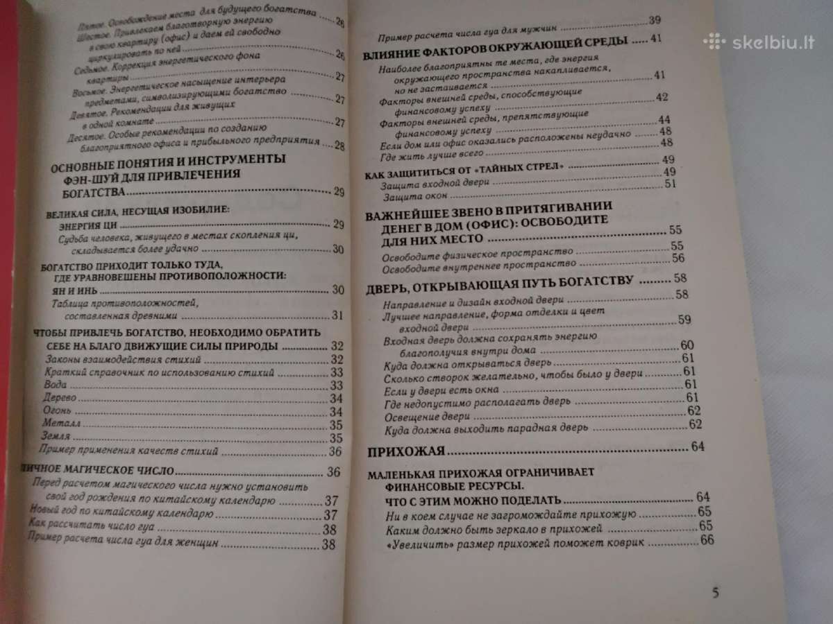Apie pinigus ir organizmo valymą rusų kalba 2€ - nuotraukos Nr. 5