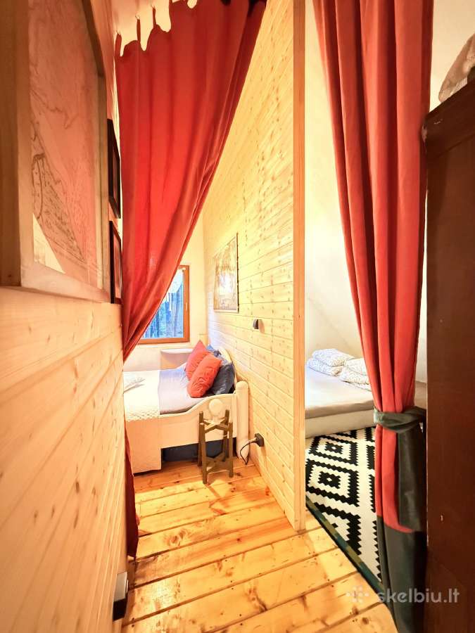 Vienkiemis miške, nuosava ežero pakrantė 5-7 žm. - nuotraukos Nr. 5