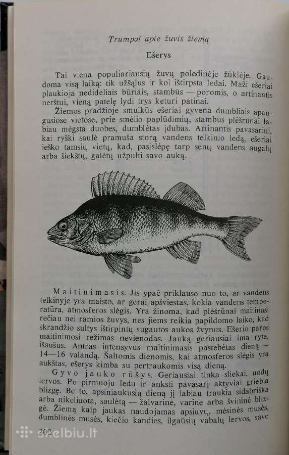G.rozinskis ''Patarimai meškeriotojui'' - nuotraukos Nr. 5