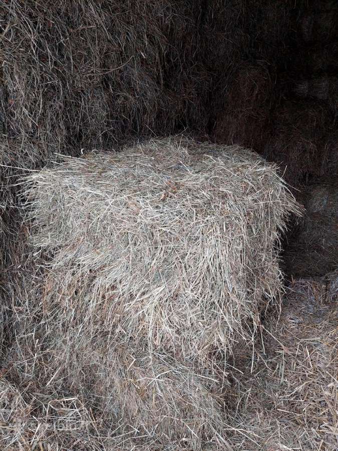 Parduodu šienos kitkas - nuotraukos Nr. 2